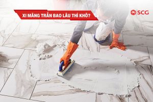 xi mang trang bao lau thi kho 2463eb70 https://truyen.linhdev.online/tu-van/ cách nhiệt trần nhà