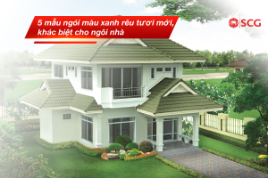 ngoi mau xanh reu 11 3b0b5c34 https://truyen.linhdev.online/tu-van/ giá xi măng