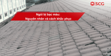 ngoi bi bac mau 45bd41f3 https://truyen.linhdev.online/author/scg/page/8/