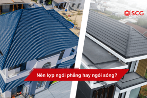 nen lop ngoi phang hay ngoi song 1 4ed9a4f4 https://truyen.linhdev.online/tu-van/ Ngói Prime có tốt không
