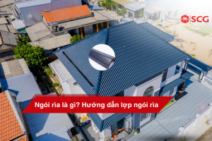 ngoi ria la gi 60f33126 https://truyen.linhdev.online/tu-van/ chính sách bảo hành ngói