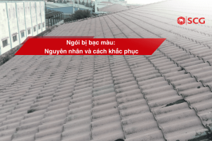ngoi bi bac mau 6fc7da30 https://truyen.linhdev.online/tu-van/ Ngói Prime có tốt không