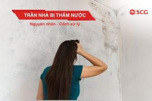 tran nha bi tham nuoc 8374369e https://truyen.linhdev.online/tu-van/ Quy trình xây móng nhà