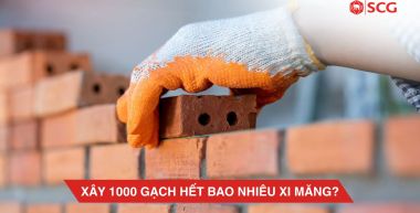 xay 1000 gach 1 9a8da0ce https://truyen.linhdev.online/author/scg/page/14/ Lát gạch 1m2 cần bao nhiêu xi măng