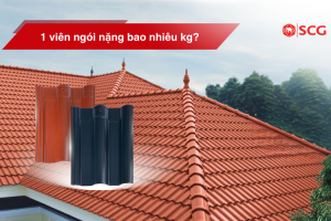 1 vien ngoi nang bao nhieu kg a824bcf8 https://truyen.linhdev.online/tu-van/ chính sách bảo hành ngói