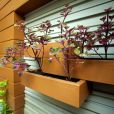 5 b20b28b8 https://truyen.linhdev.online/showroom-nha-vui-cong-trinh-su-dung-thanh-gia-go-scg-smartwood/