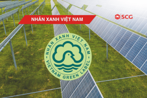 nhan xanh c666dd36 https://truyen.linhdev.online/tu-van/ Xi măng xanh