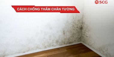 cach chong tham chan tuong d3a43c22 https://truyen.linhdev.online/author/scg/page/17/ scg super xi măng