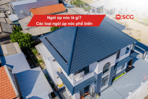 cac loai ngoi up noc f1a0b92d https://truyen.linhdev.online/tu-van/ Xi măng xanh