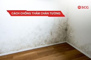 cach chong tham chan tuong f9dea7e1 https://truyen.linhdev.online/tu-van/ cách chống thấm chân tường