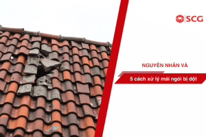 mai ngoi bi dot f90bfb97 https://truyen.linhdev.online/tu-van/ Ngói Prime có tốt không