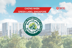 green label singapore min ff726993 https://truyen.linhdev.online/tu-van/ Ngói Prime có tốt không