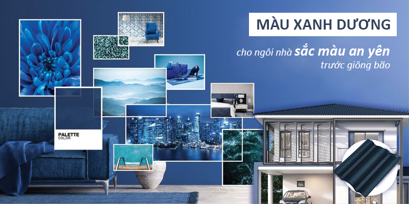 Trang trí nhà màu xanh dương Trang trí nhà màu xanh dương