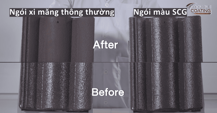 Ngói bị bạc màu