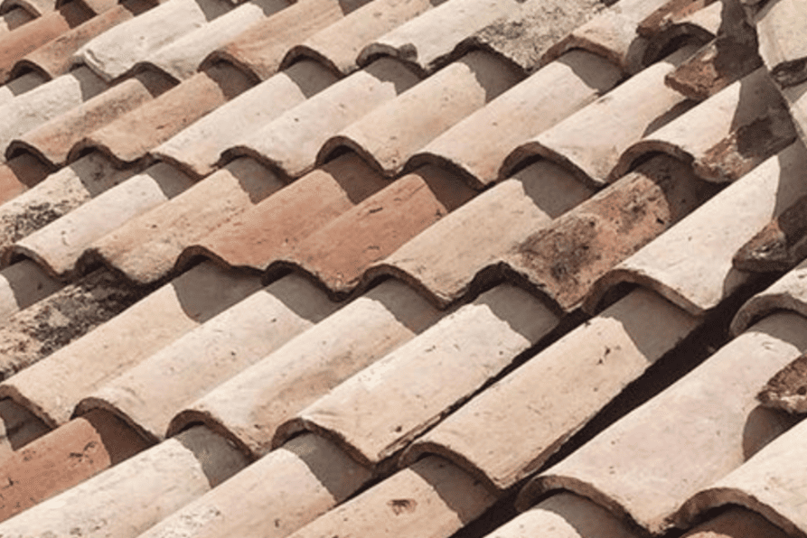 Ngói bị bạc màu