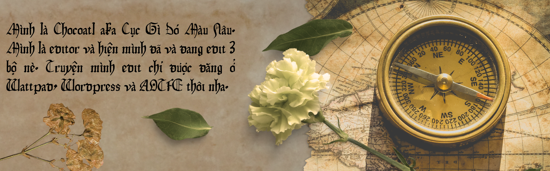 Cục Gì Đó Màu Nâu