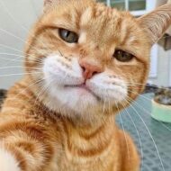 letranbaonhu235@gmail.com