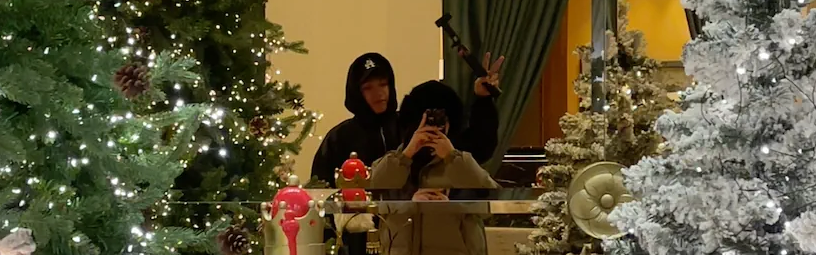 Sư tử gào gào 🦁