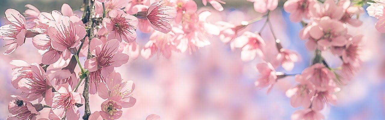 meomeo05143018@gmail.com