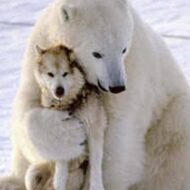 phambaonganhp2007@gmail.com