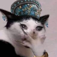 Thị Như Quỳnh Đào